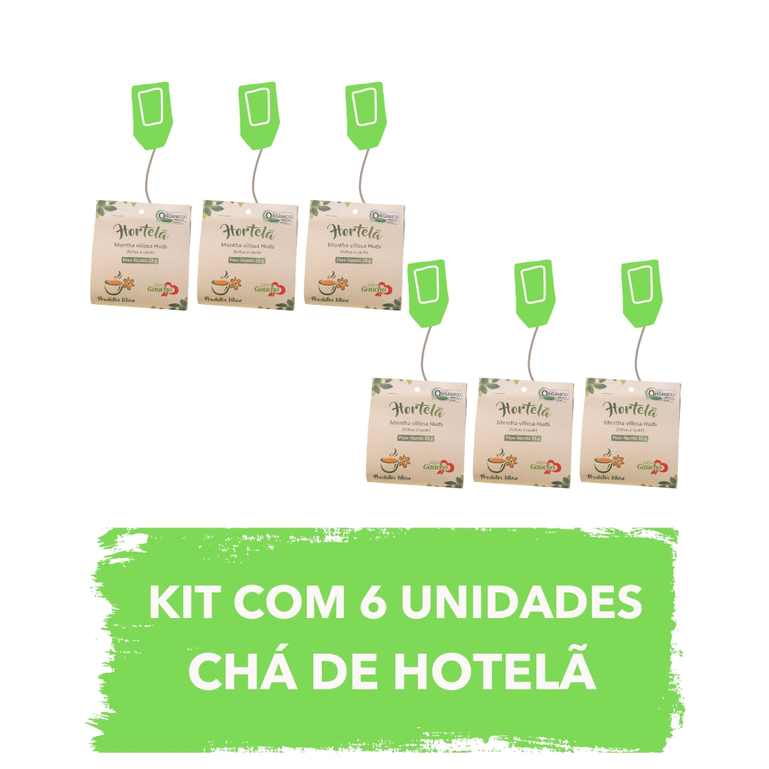 Kit 06 Unidades - Chá de Hortelã 15g